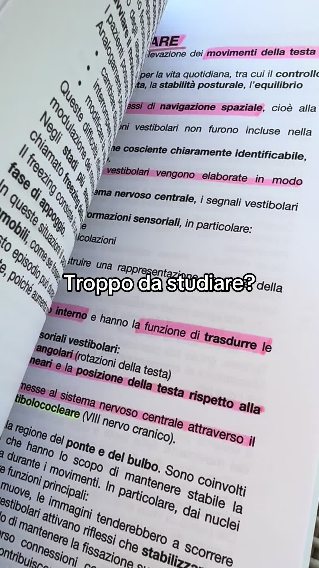 @Aurora | study tips📚