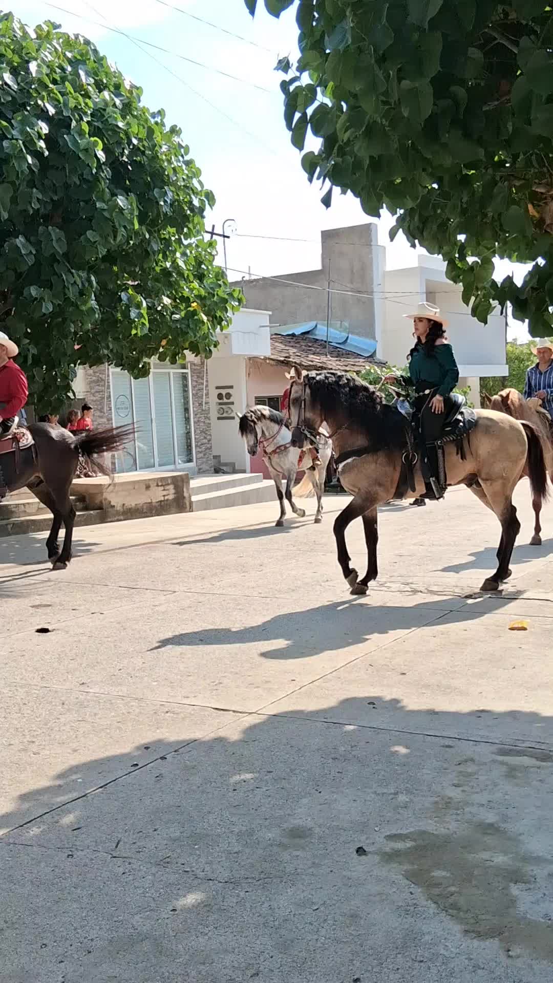 @antigüedades