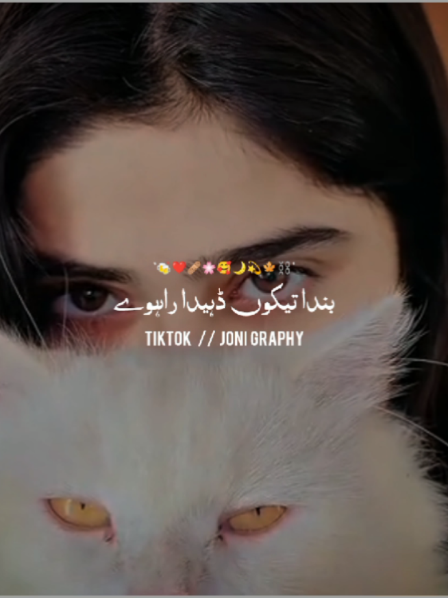 @°جونـــــی٘𓇢𓆸