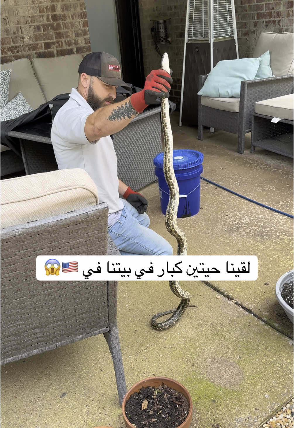 @daysbyanwar
