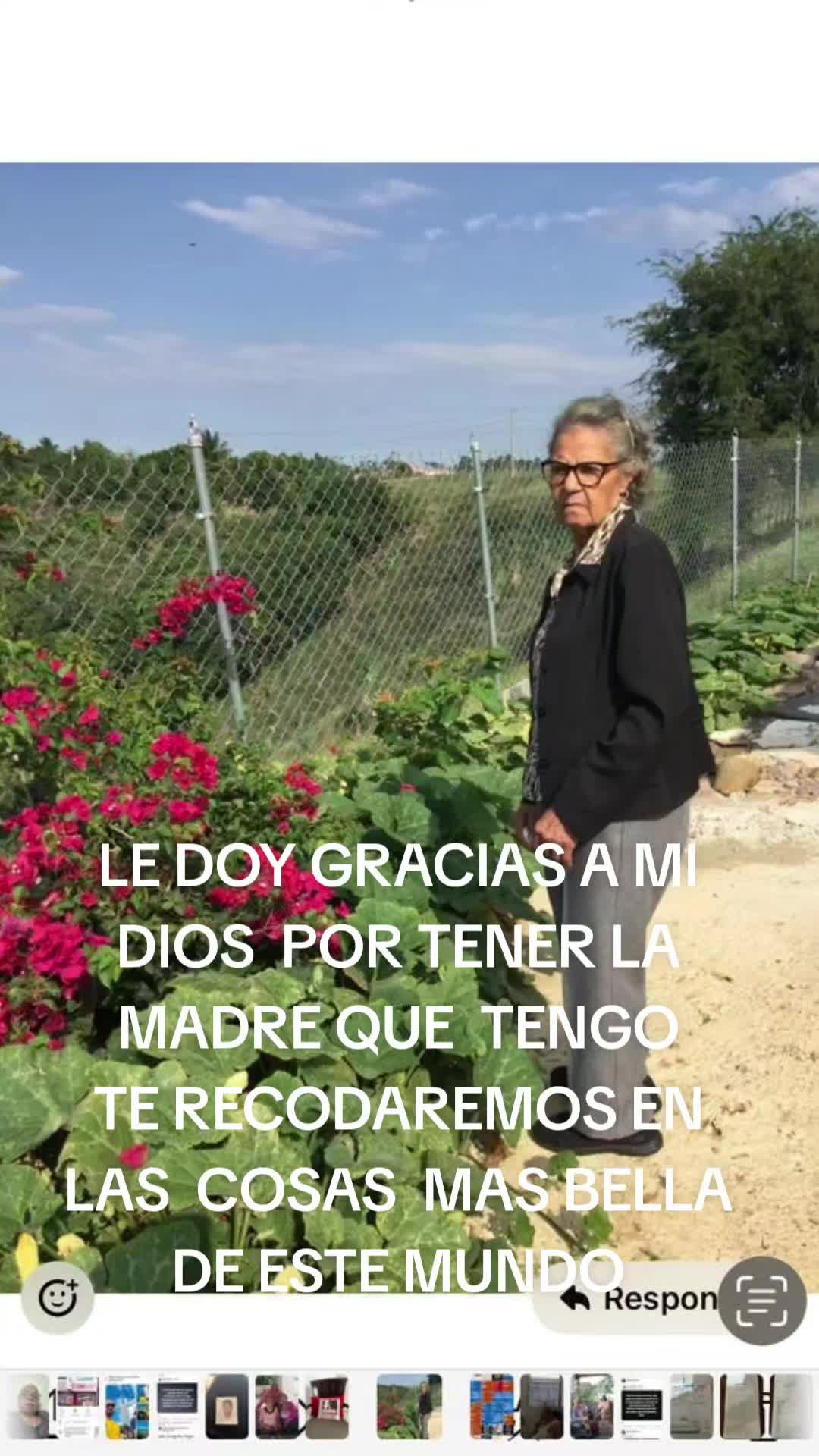 @julio sólido 31