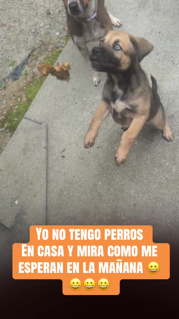 @Andreatodoloquebusca🛍️