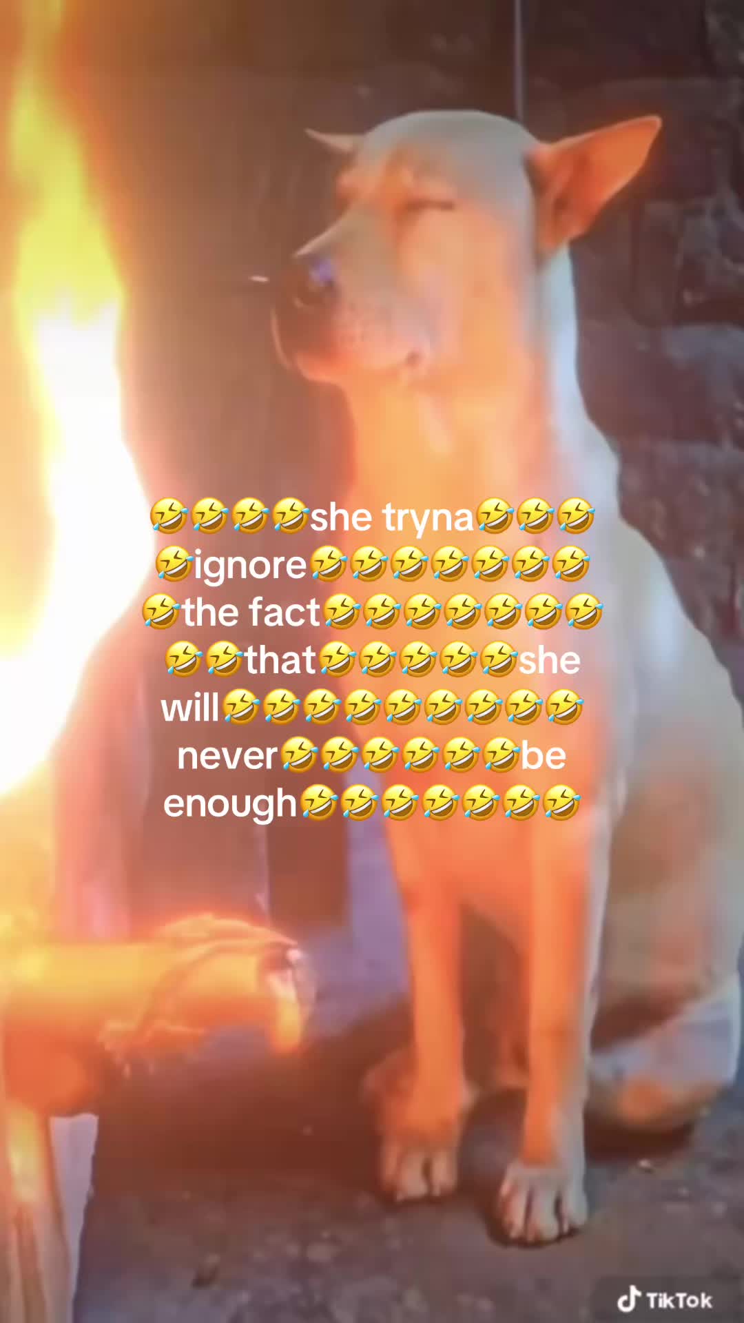 @purplenurpletit