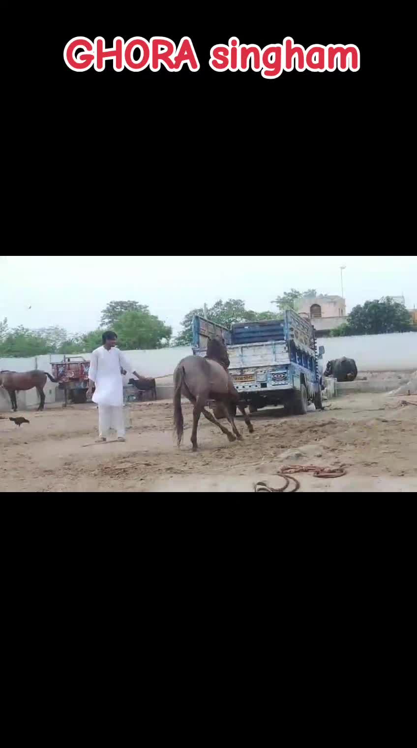 @GUJJAR BADSHAH CHAK PIRANA