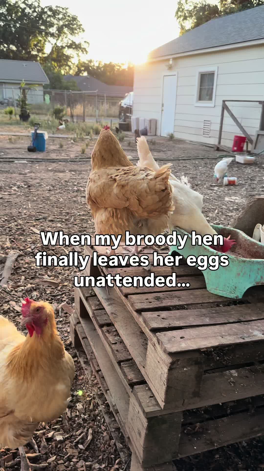 @The Real Estate Chick