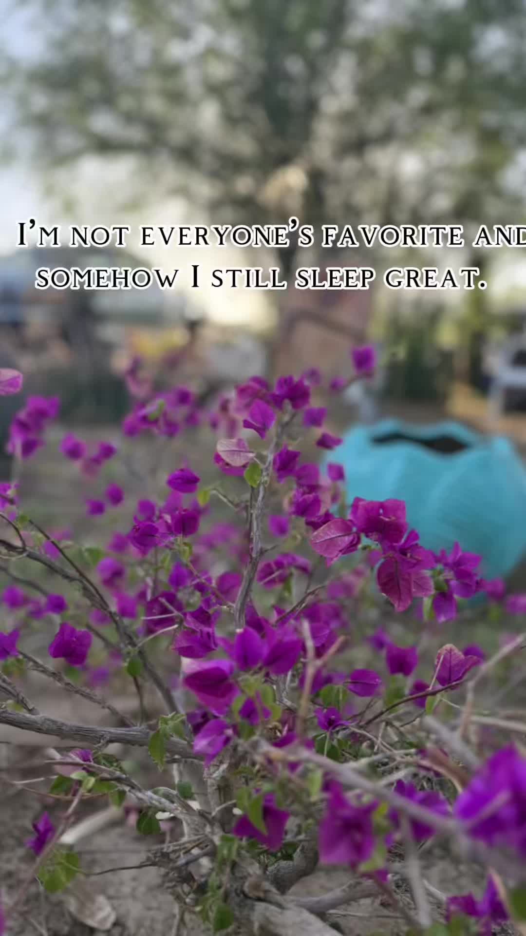 @Elizabeth.33L
