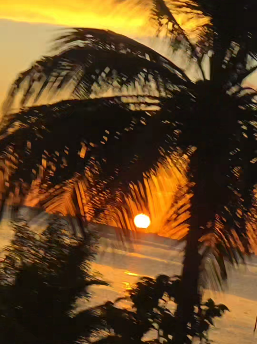 @s ᥱ ᥣ і ᥒ ᥲ ᥫ᭡