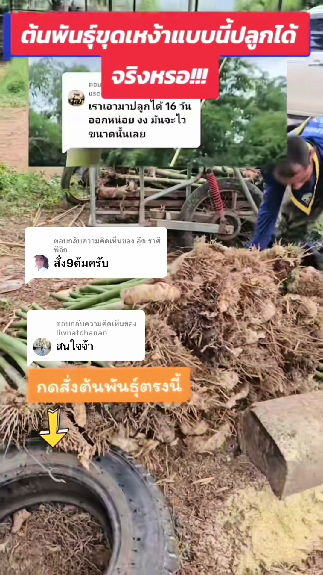 @นัดดาชอป