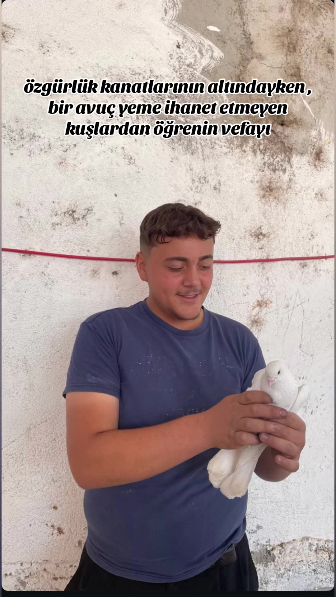@Mehmet
