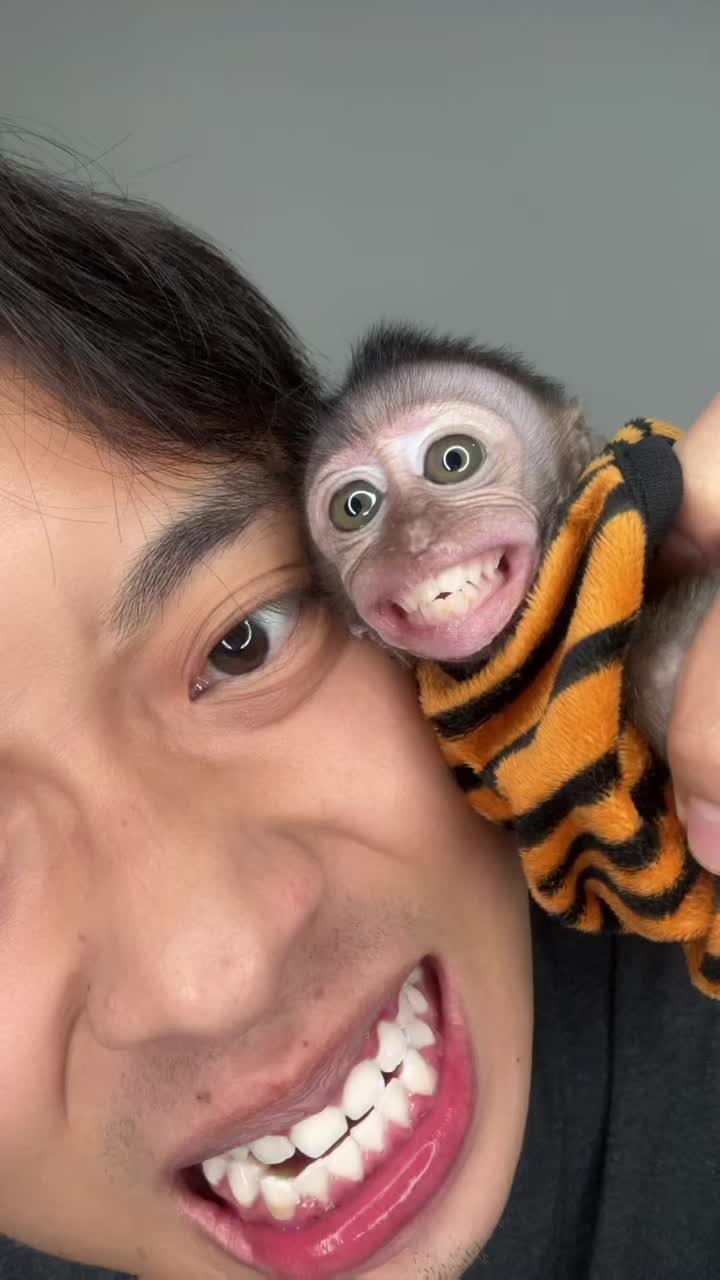 @Adinsyach