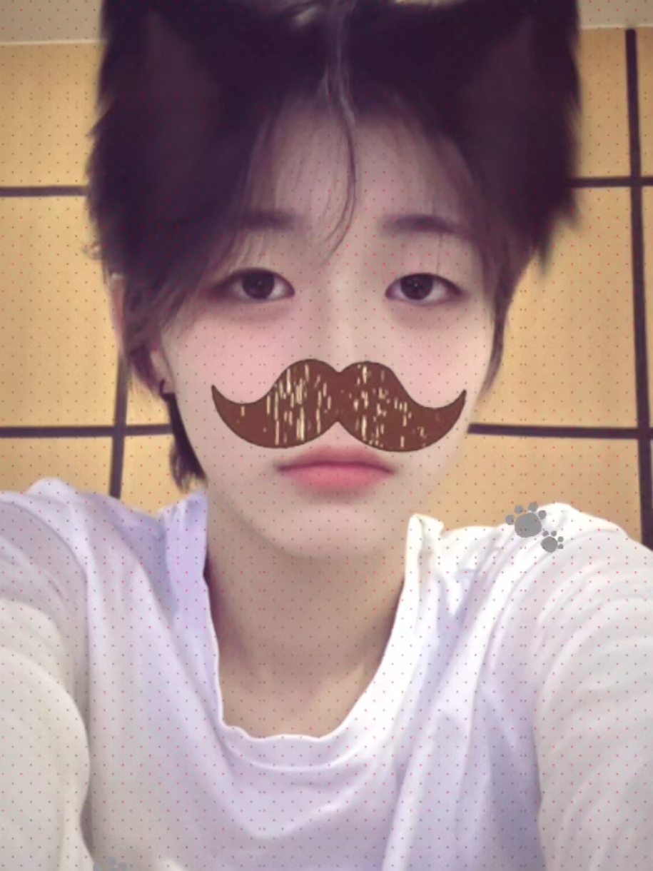 @하츠네씨집안한민히