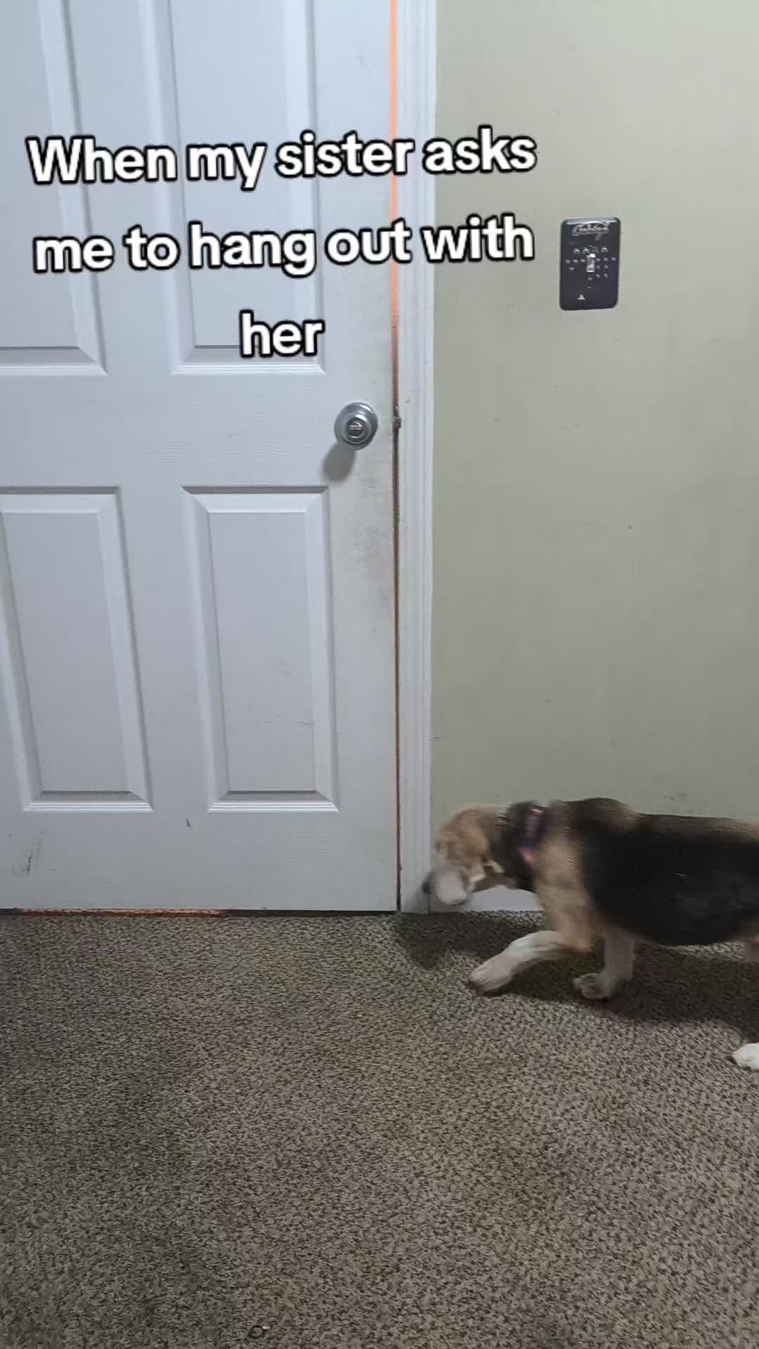 @Alita