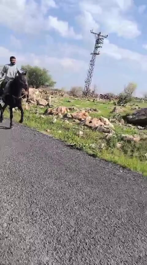 @hebun zınar