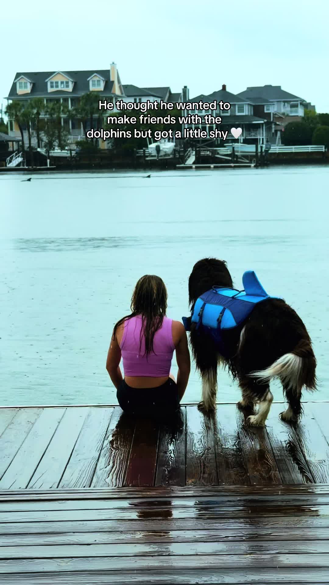 @Chewy The Newfoundland
