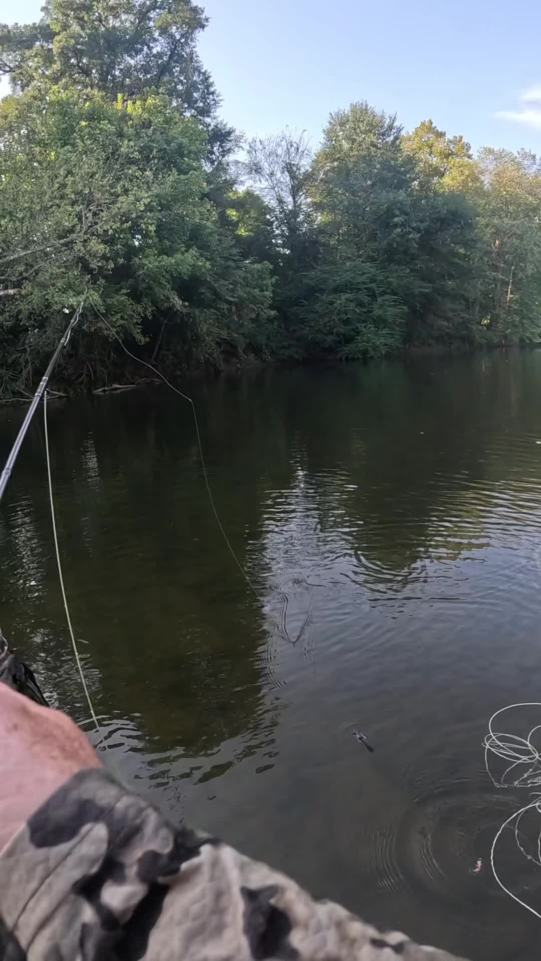 @ellisfishnish