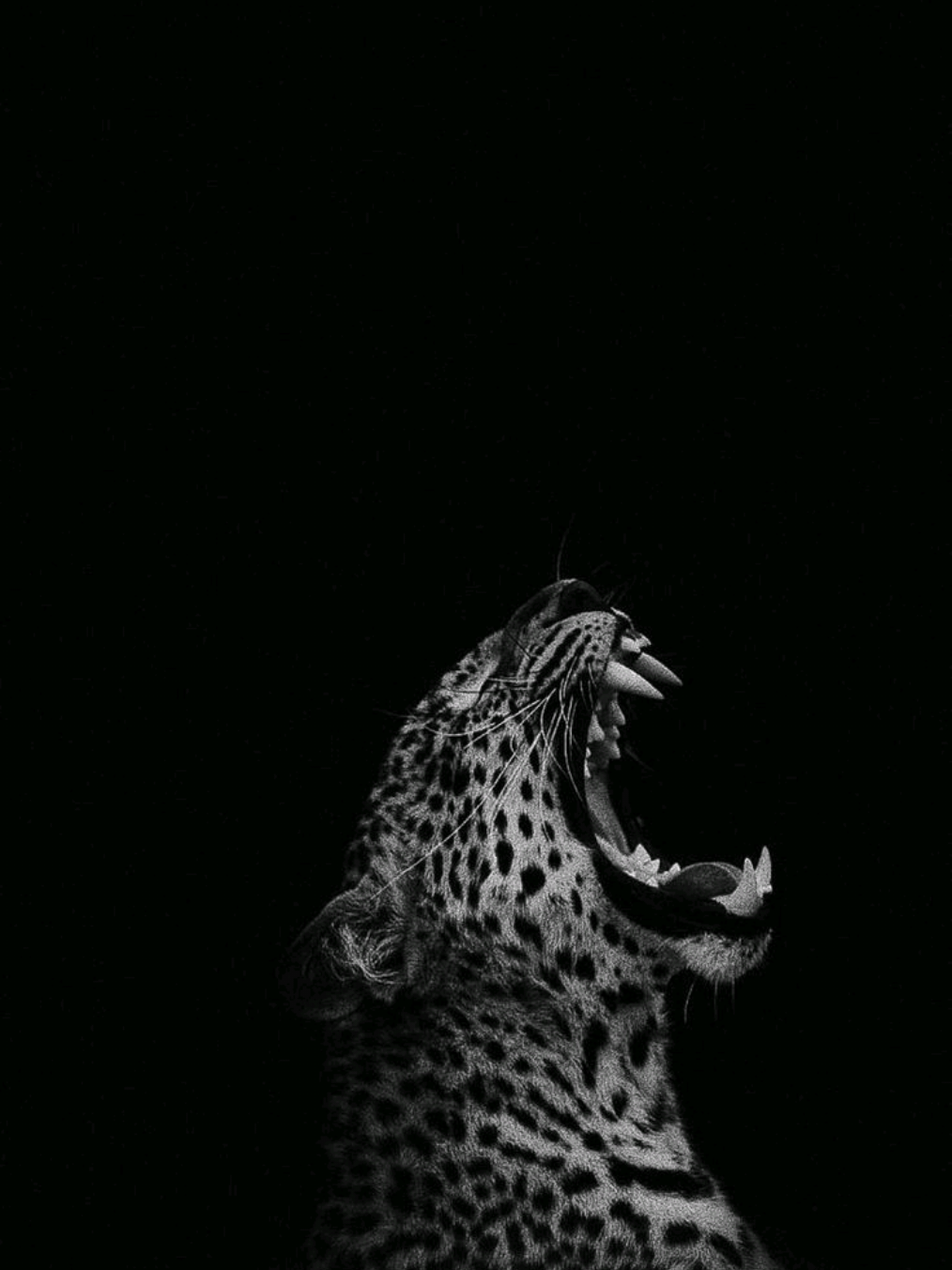 @౨ৎ