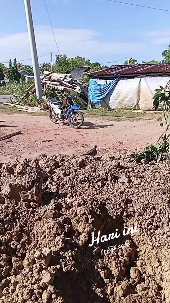 @Muliadi