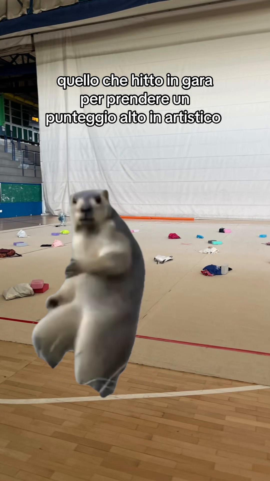 @auryy🫶🏻🤸♀️
