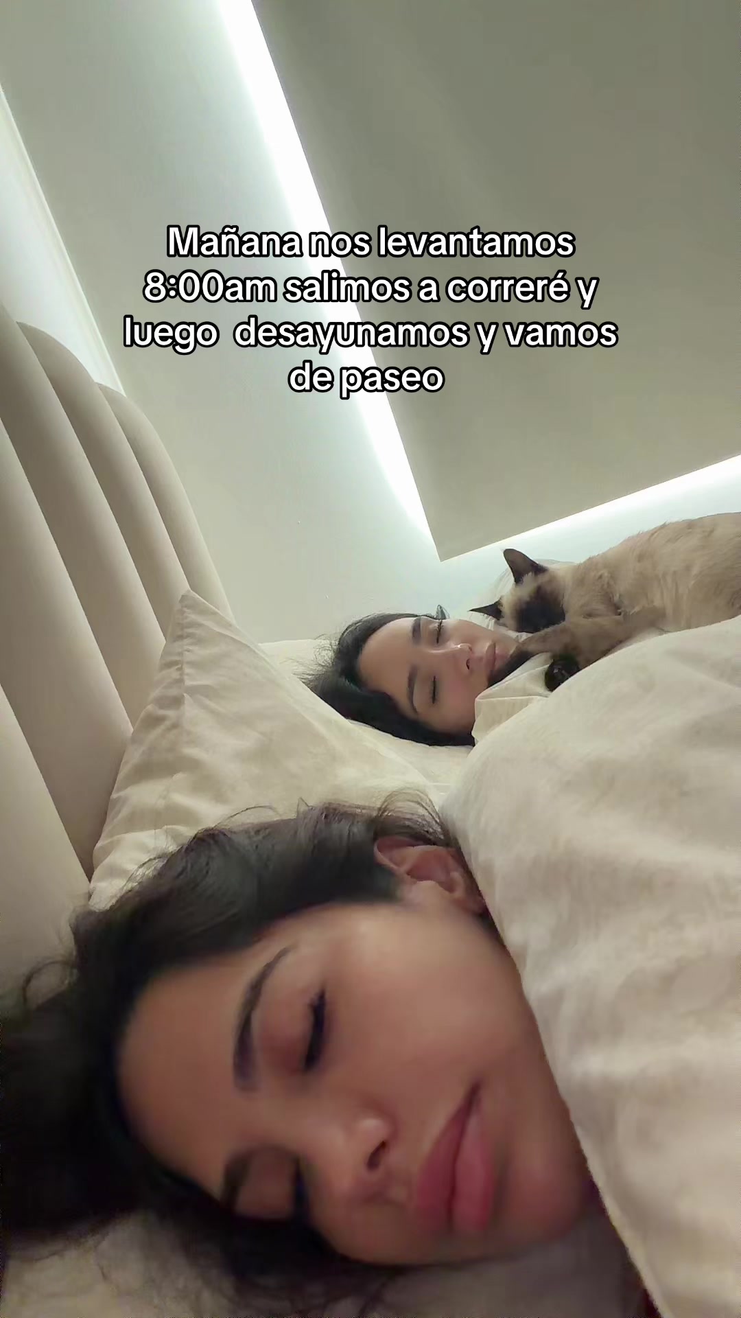@Alexa