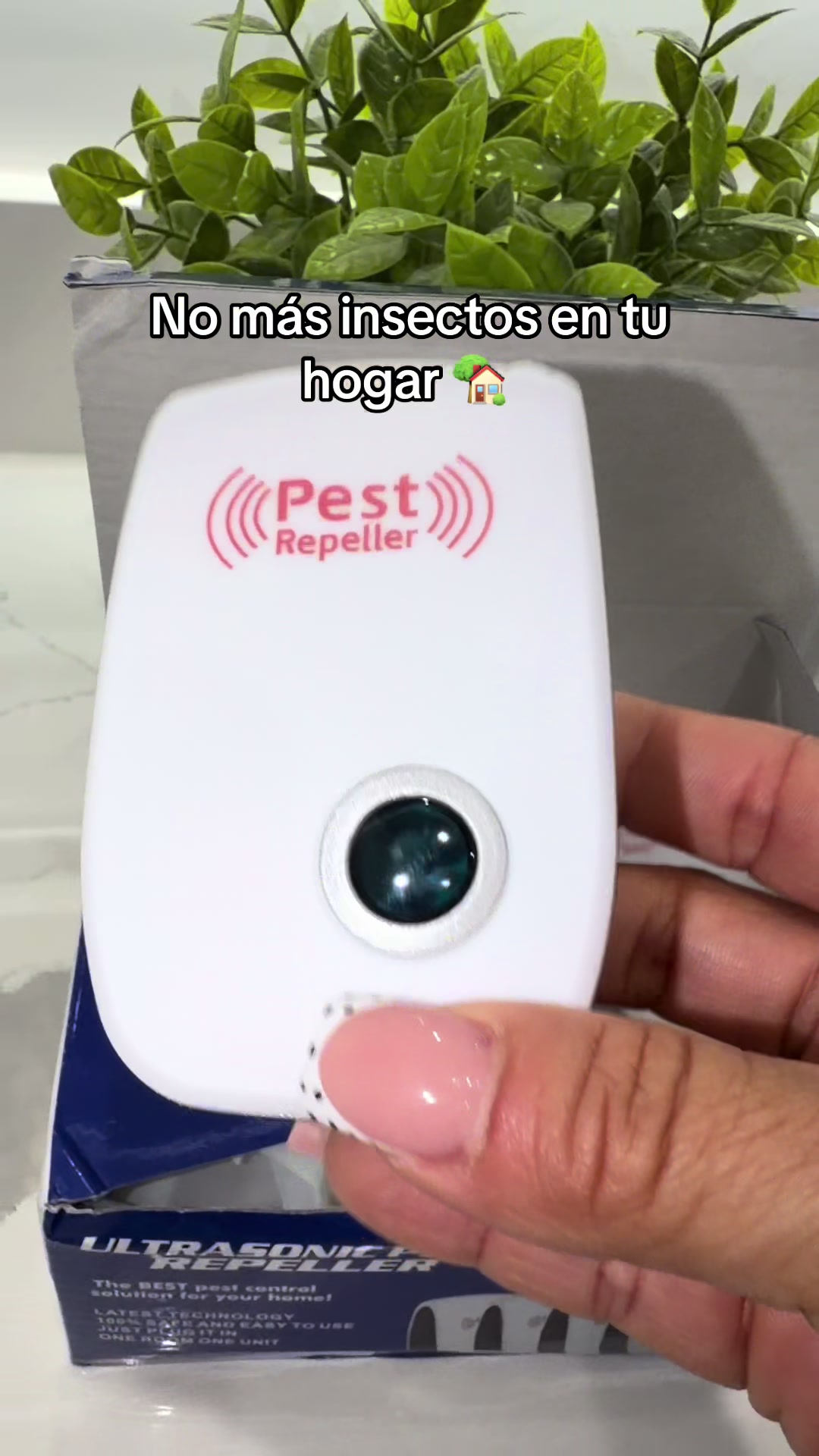 @alivalenciall