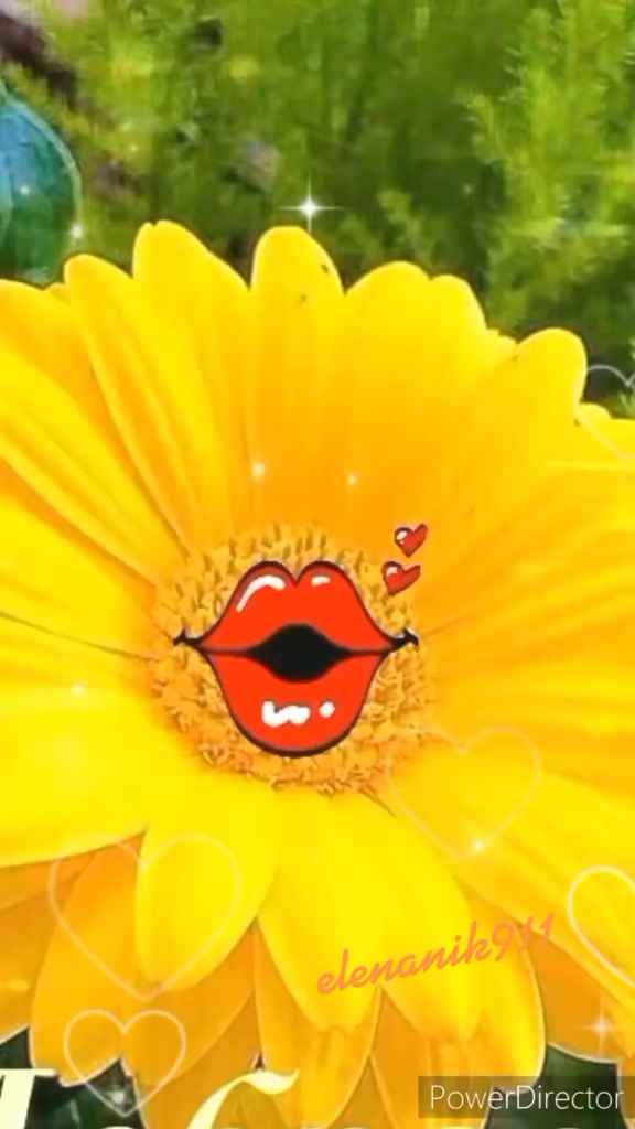 @꧁༺ 𝓔𝓵𝓮𝓷𝓪 ༻꧂