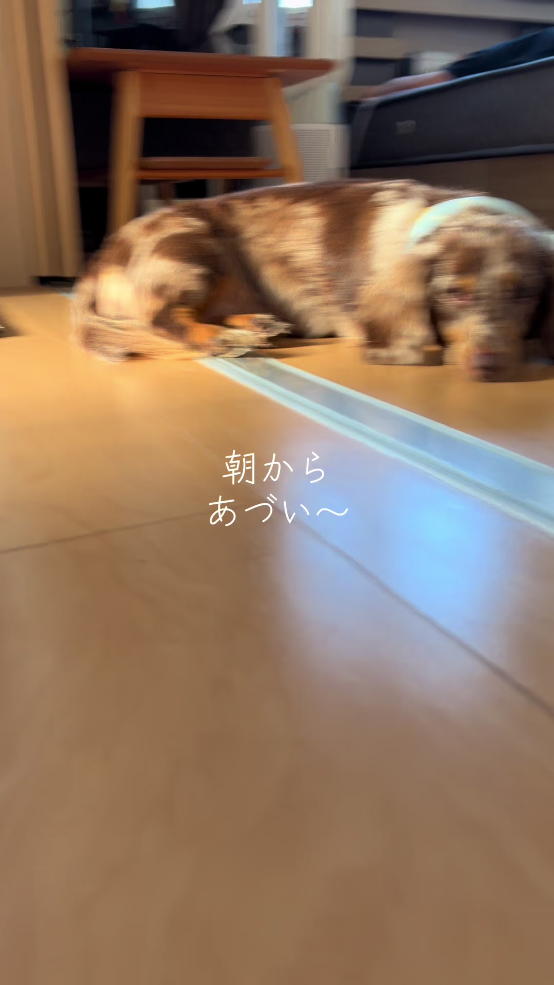 @ケン