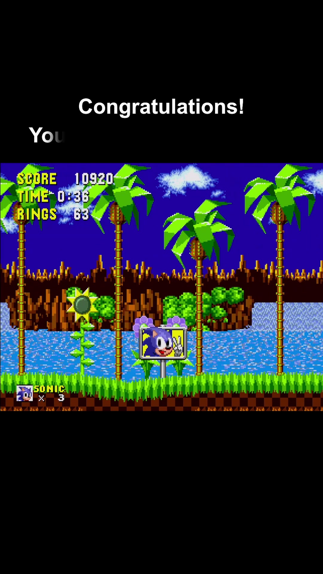 @Sonic the Hedgehog