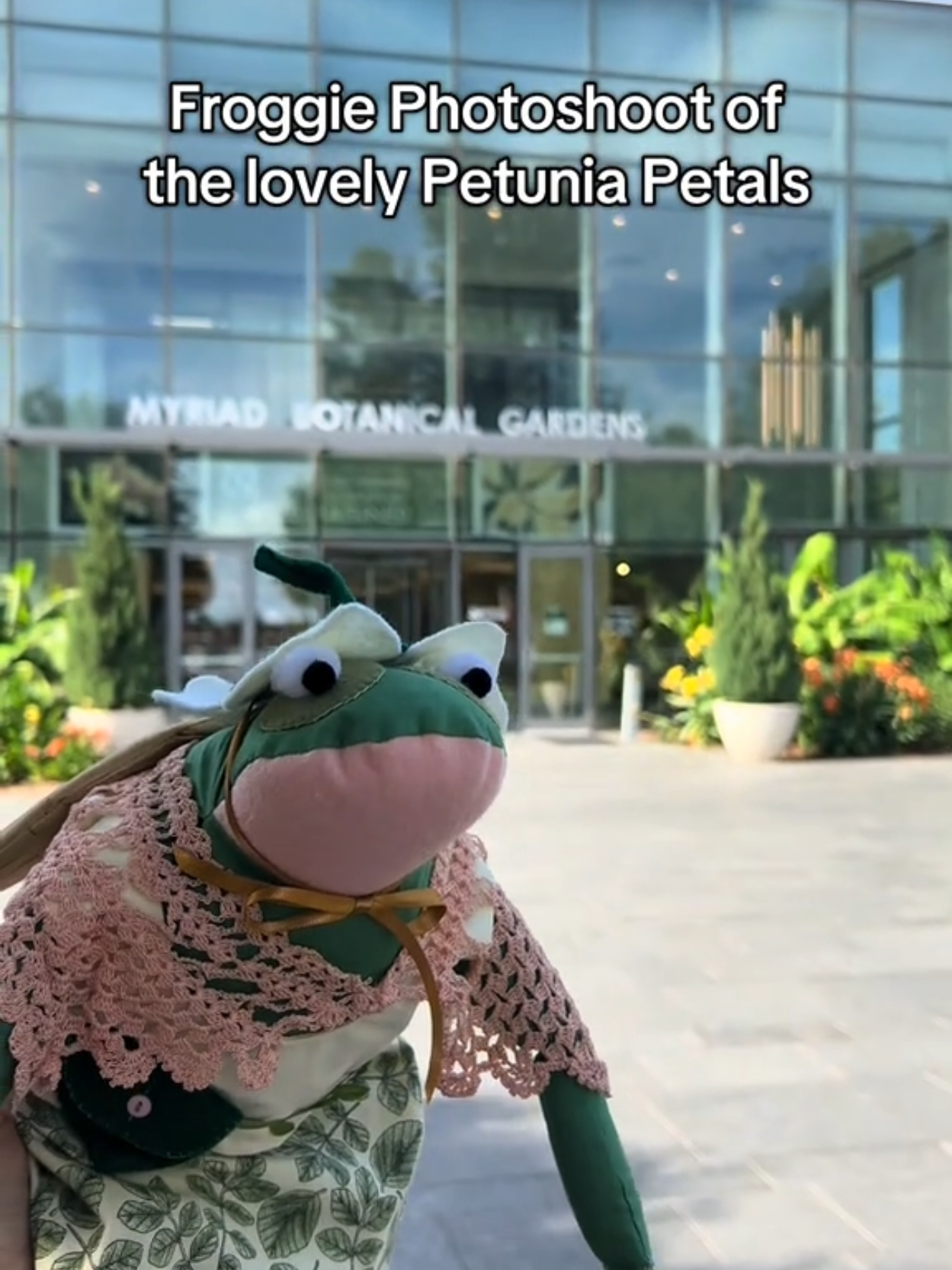 @Katie Graham/Frog Mother 🐸
