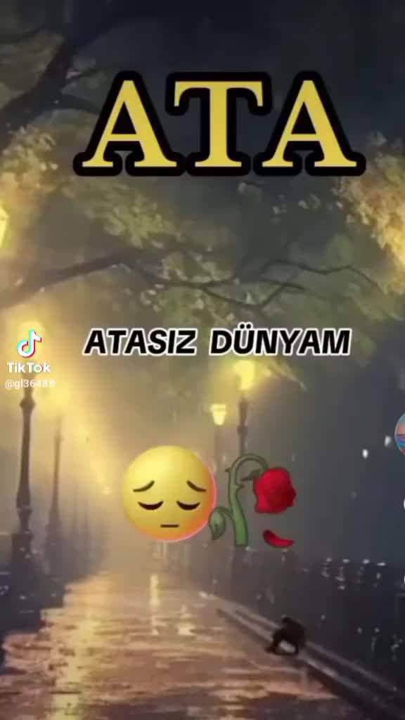 @Elshan