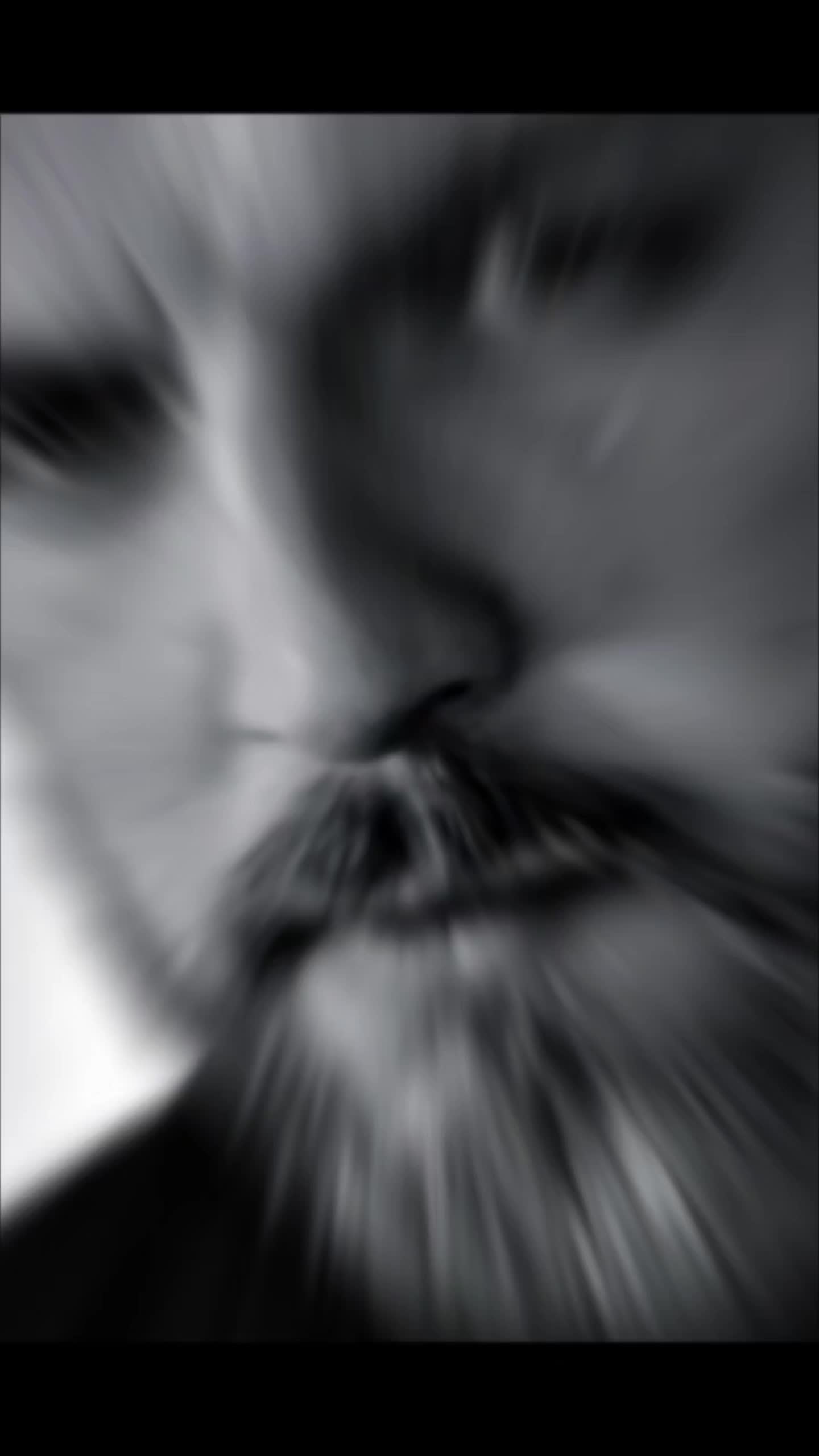 @𝔬𝔛𝔊𝔯𝔲𝔪𝔭𝔶𝔛𝔬