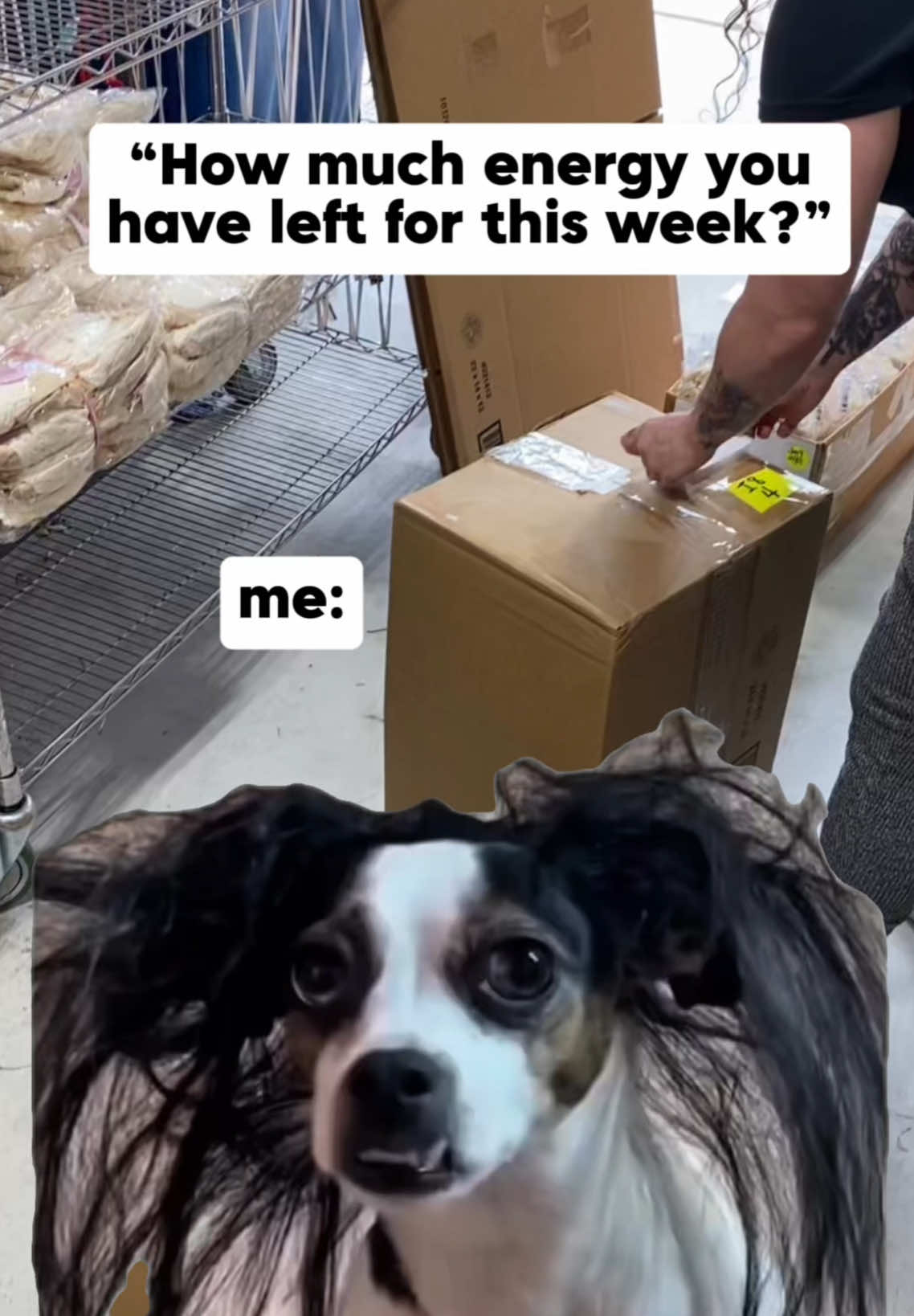 @TheHairBowCompany