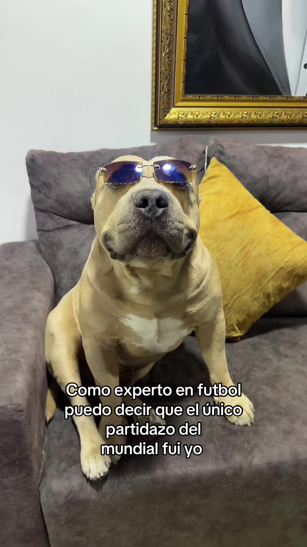 @Vikingo606