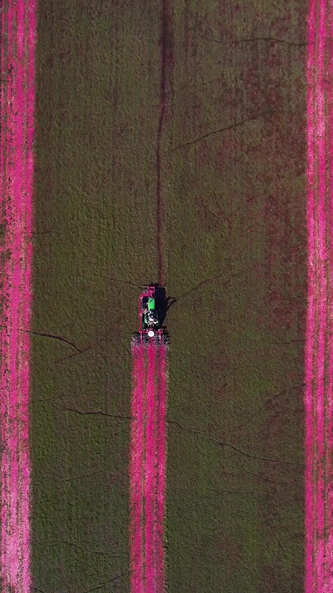 @Frankly Farming