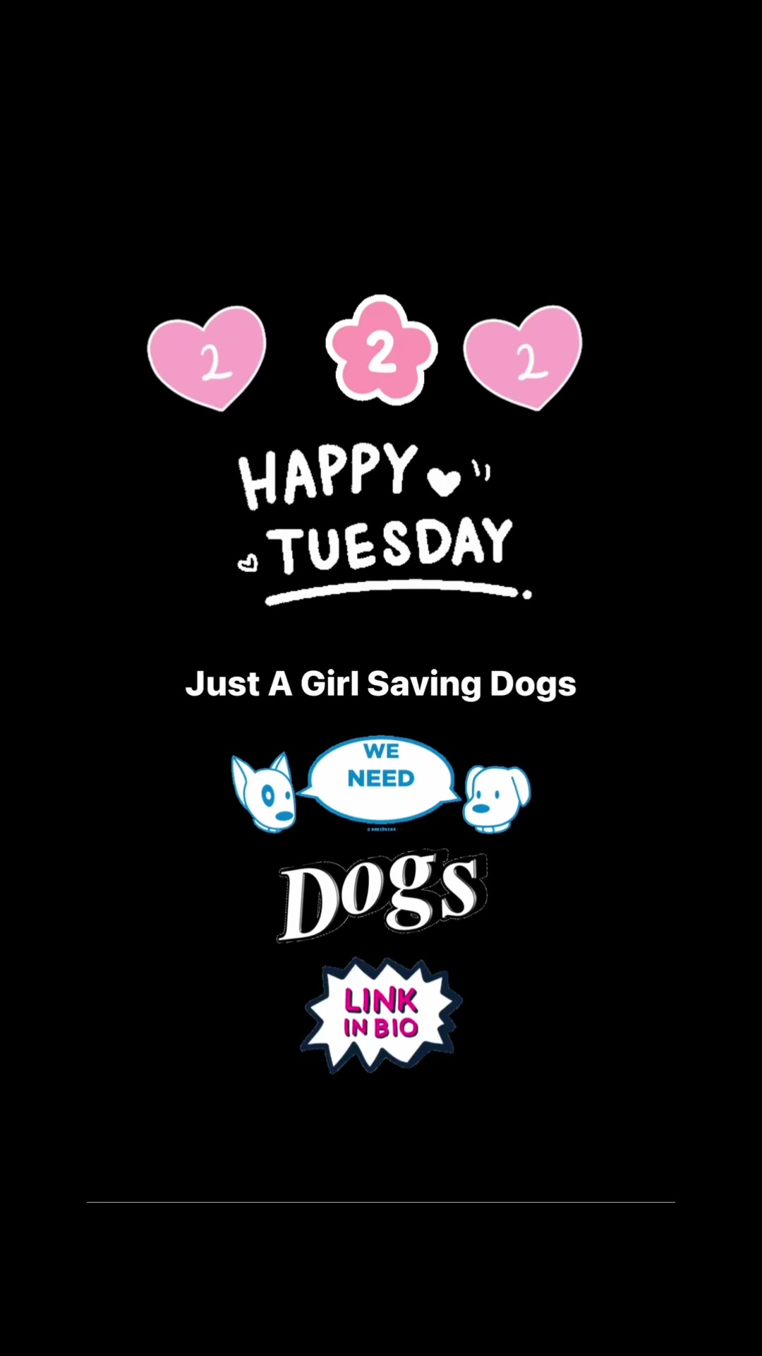 @Just A Girl Saving Dogs