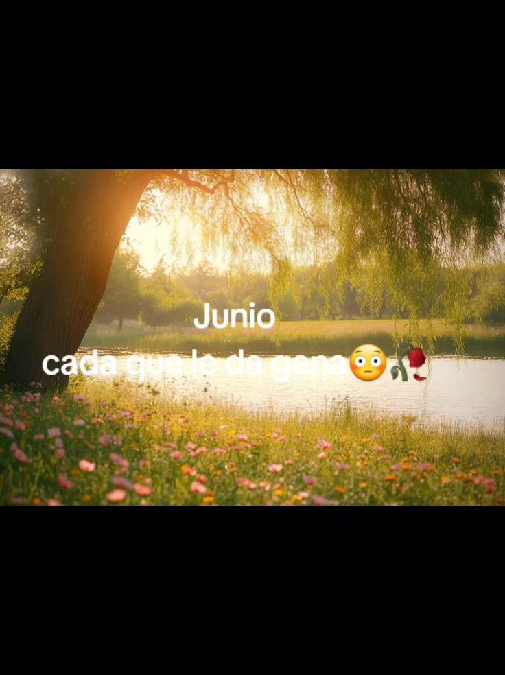 @𐙚₊˚⊹ᡣ𐭩Once _Stay♡~🐧🐰. ݁₊ ⊹