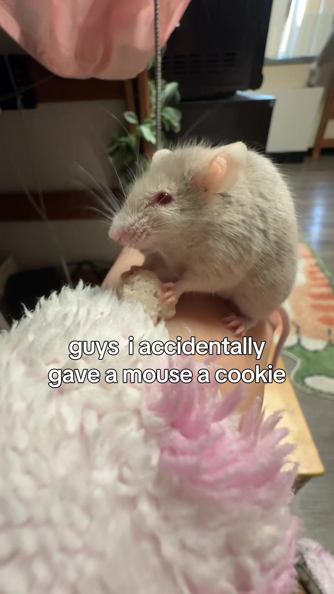 @thatweirdanimalgirl
