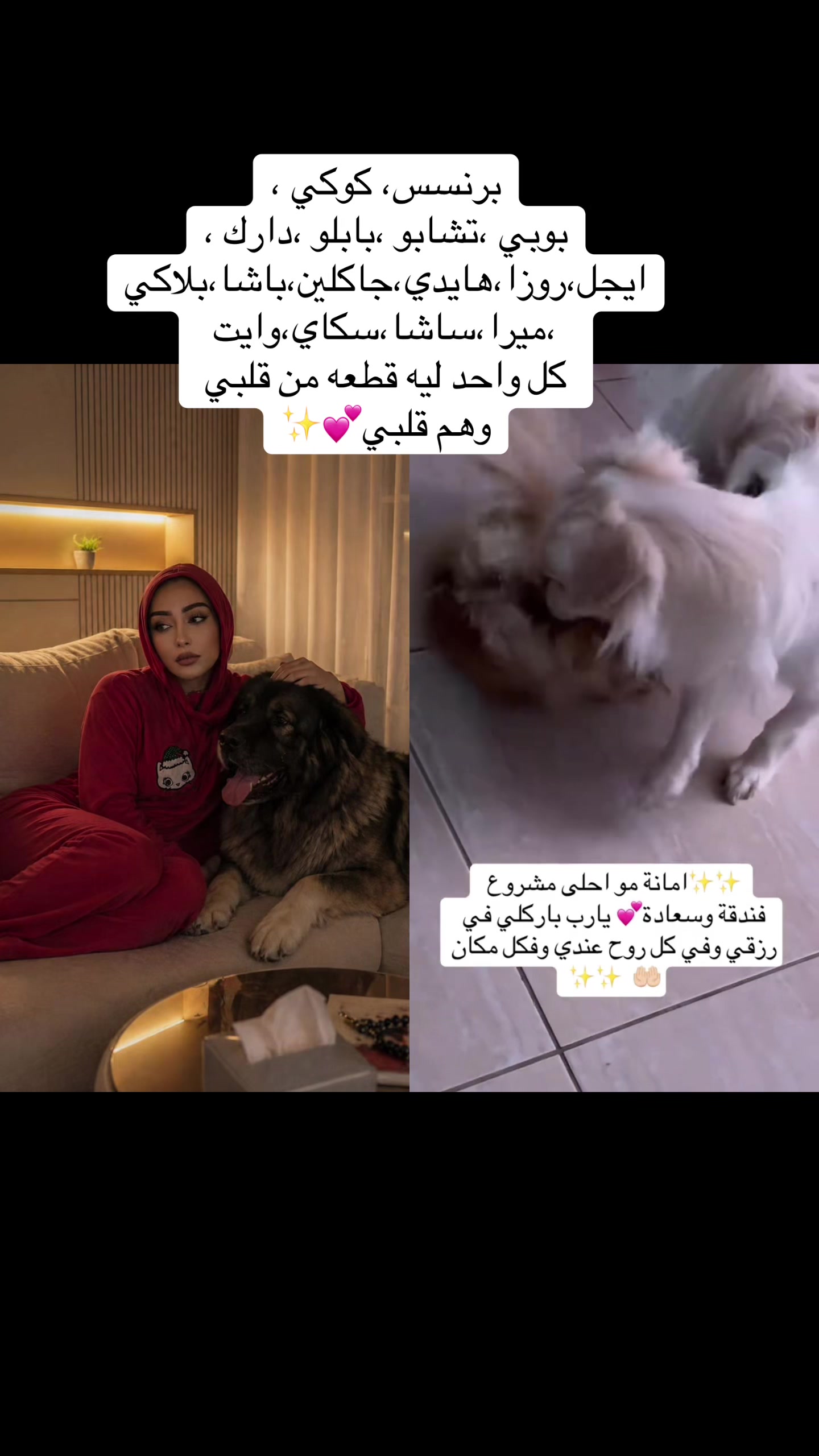 @لولو الحسني🇸🇦🫀