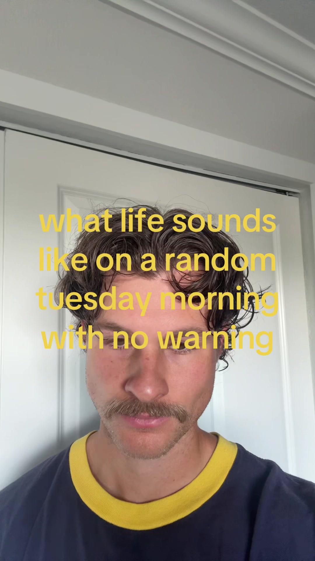 @shane