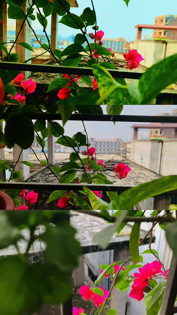 @মায়াবী 🤍