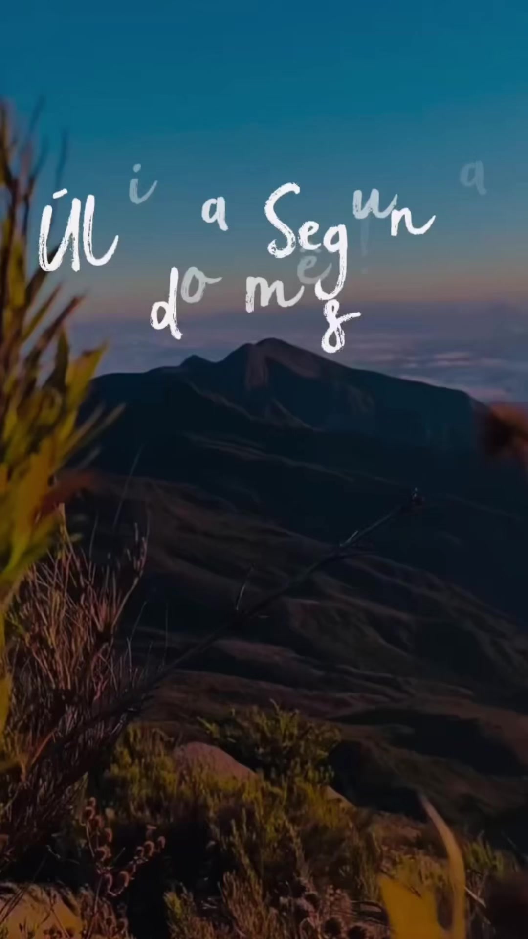 @Marcelo♐️🇧🇷