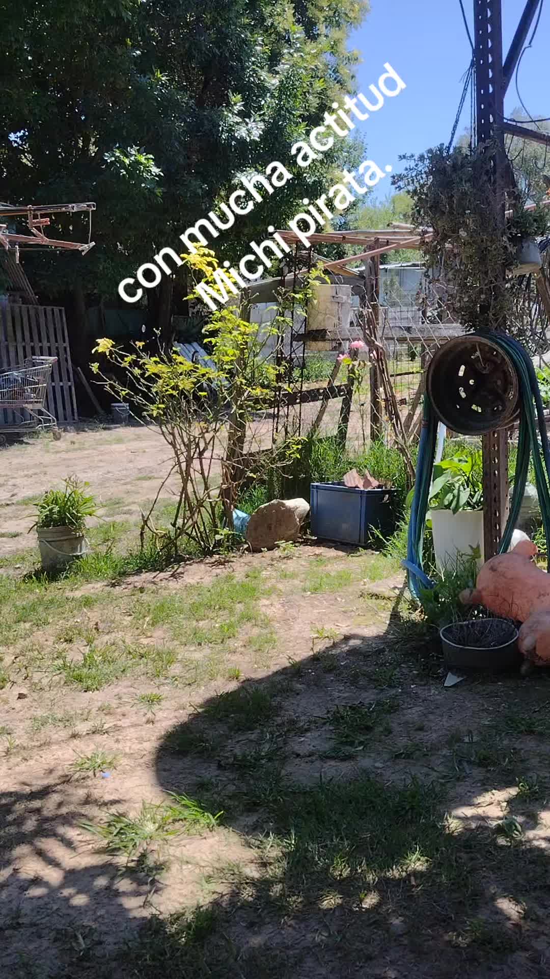 @Juank🇦🇷