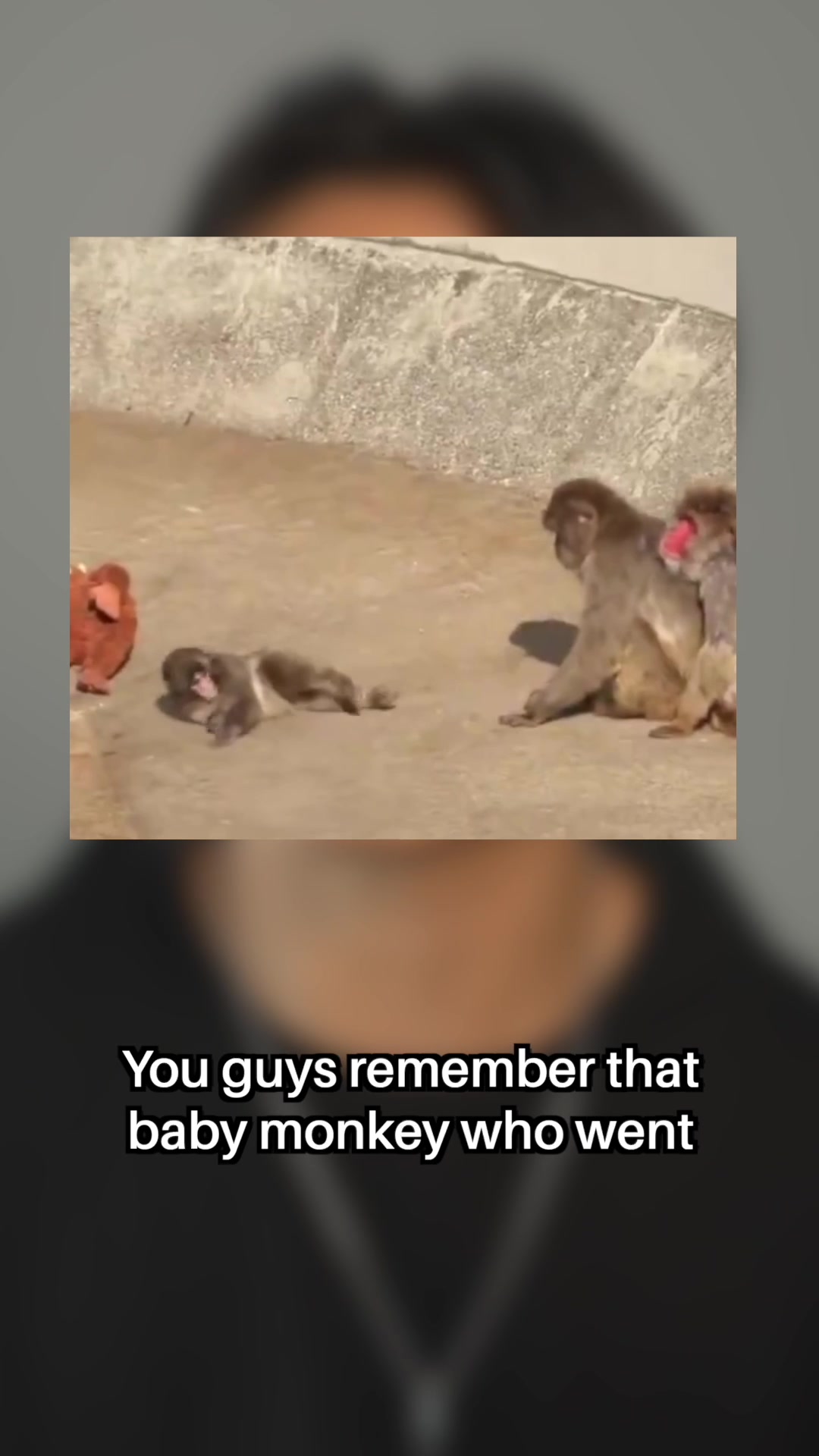 @Andy Jiang