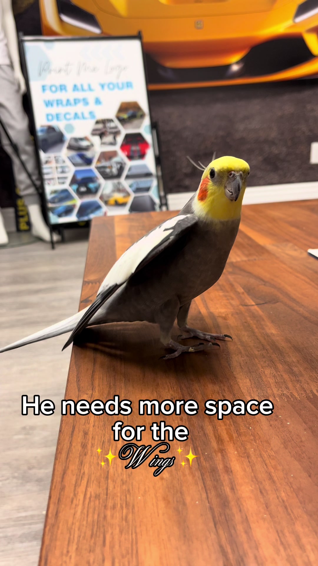 @Emery The Branch Manager