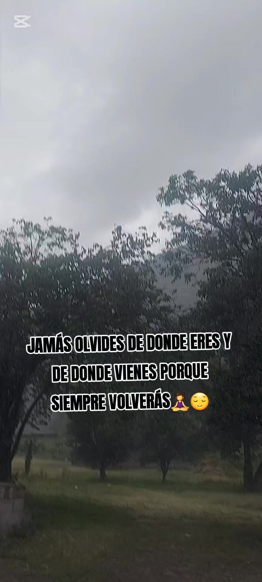 @✨ SILVIA Q.C💖✨
