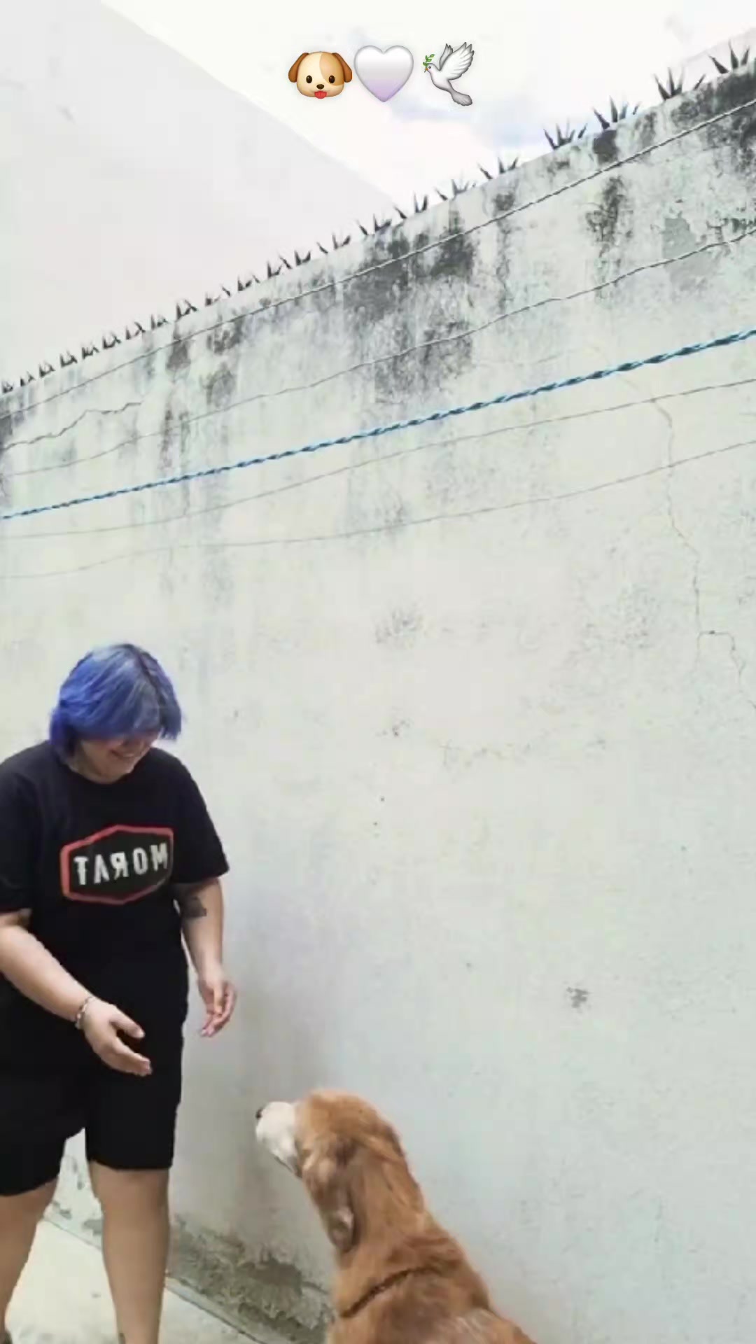 @Eli ๐ณ๐ Bangtan Version ๐