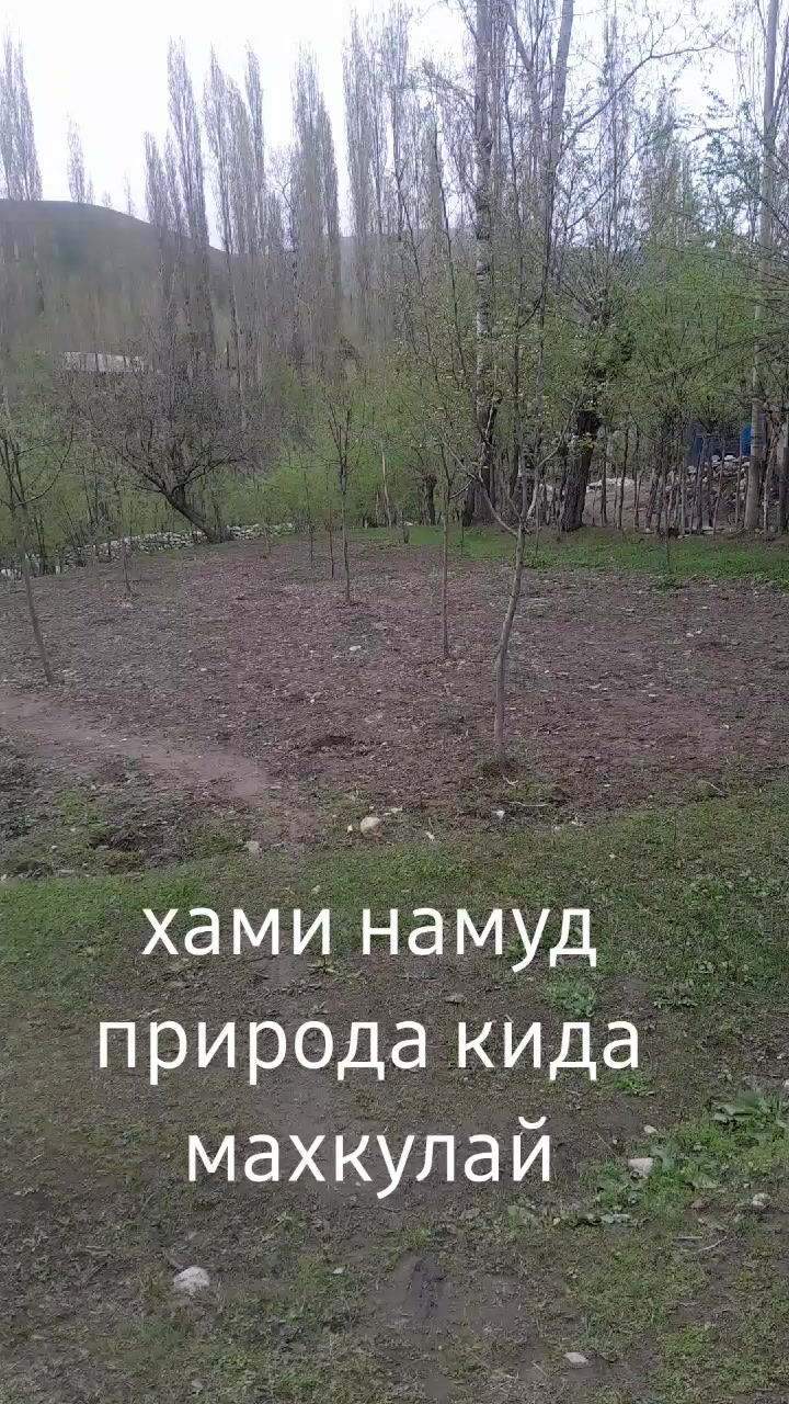@mirzo_07