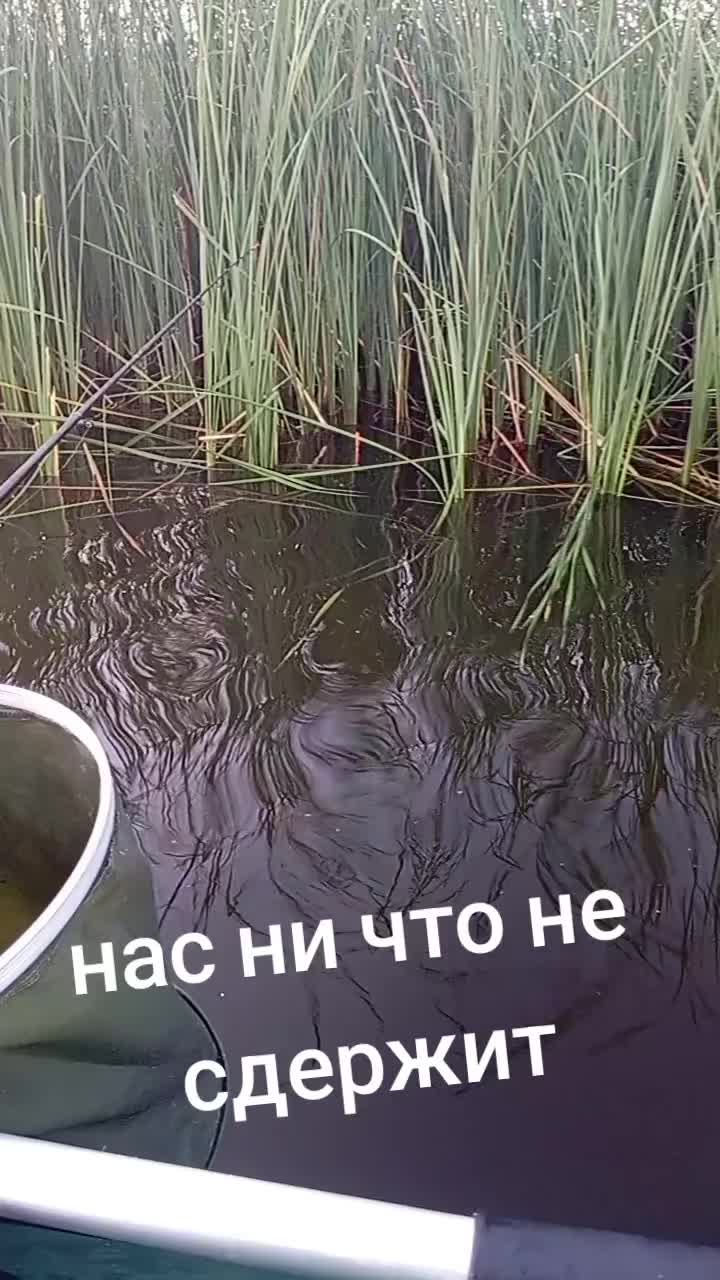 @🇧🇾 Саня 7. BY 🇧🇾