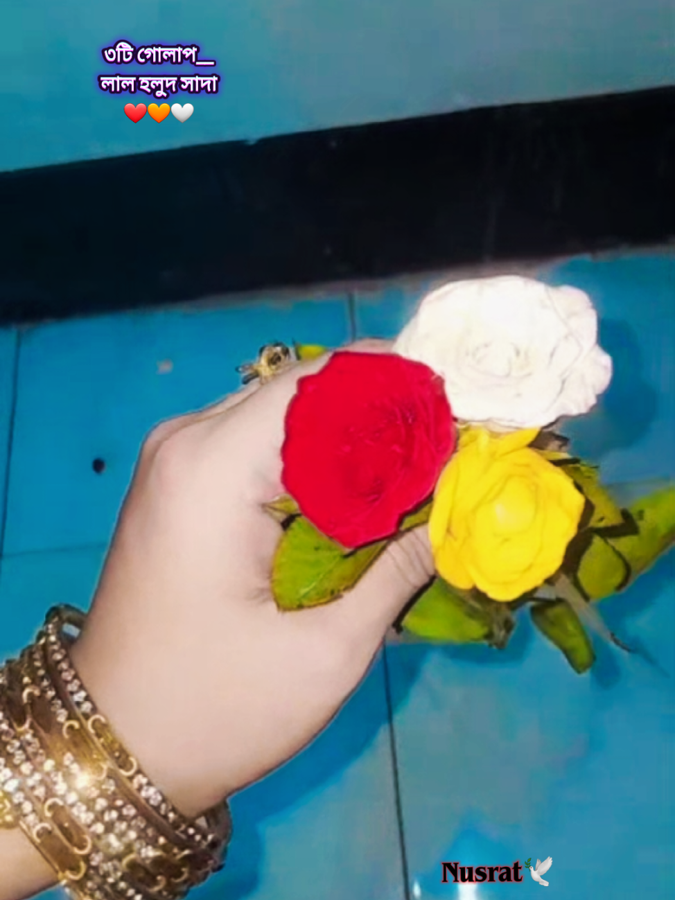 @👑⃟🦋 Nusrat🕊️👑⃟🦋