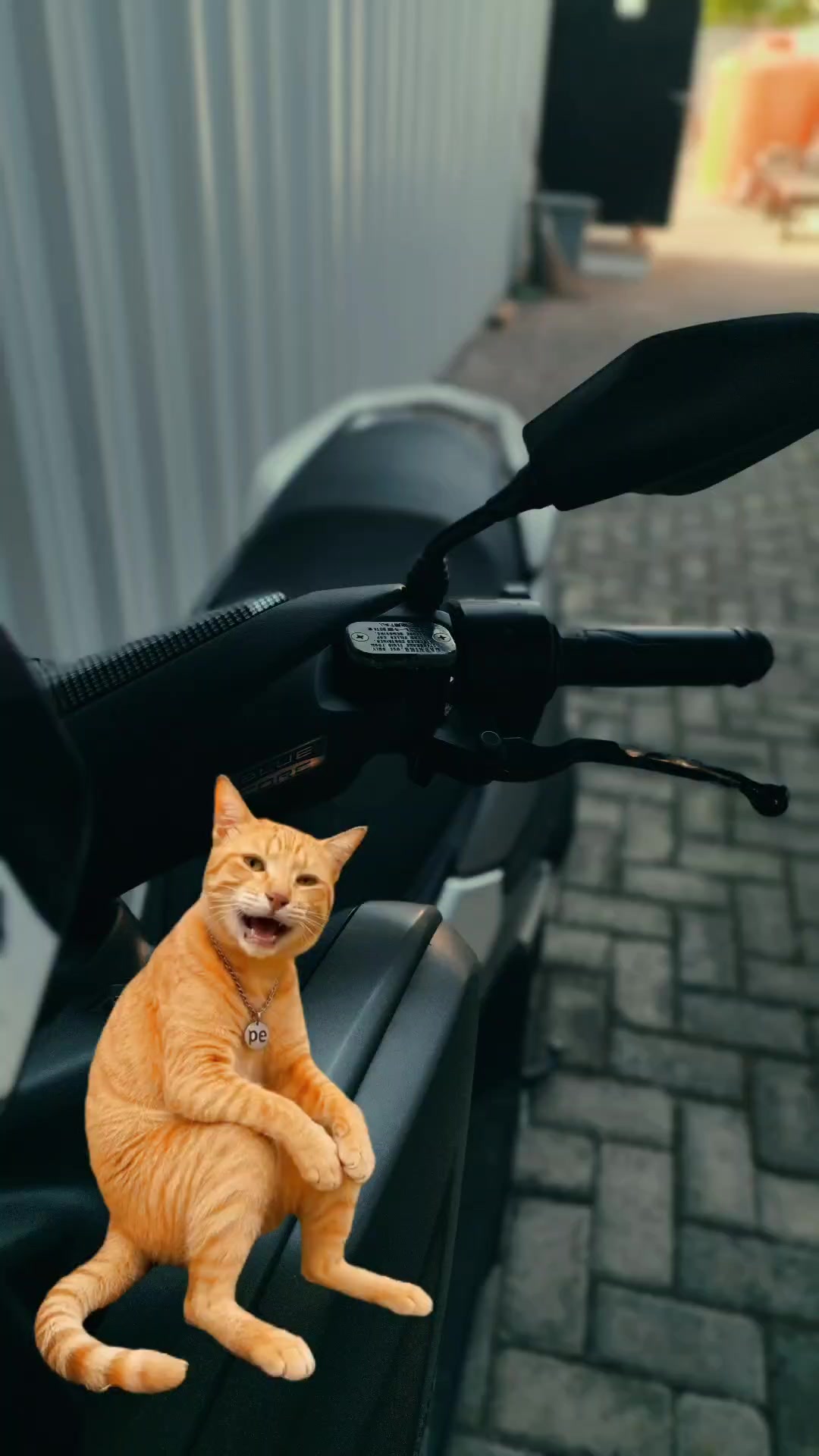 @𝐋𝐢𝐫𝐢𝐤 𝐒𝐞𝐝𝐞𝐫𝐡𝐚𝐧𝐚