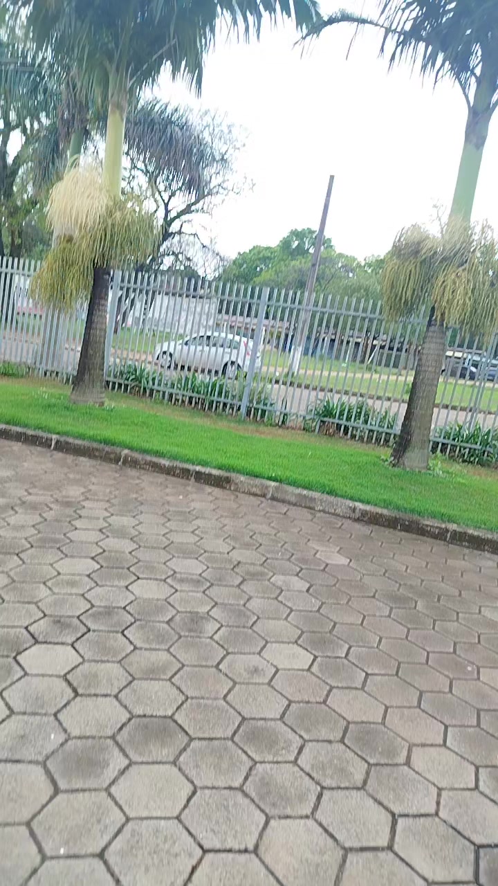 @Gi 🐻